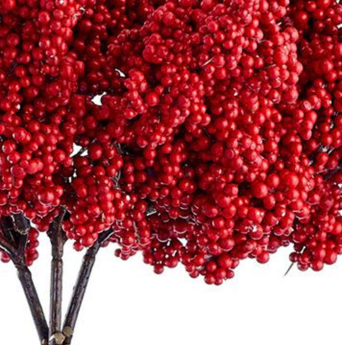 10.5" Berry Bundle ( XBB383-RE )