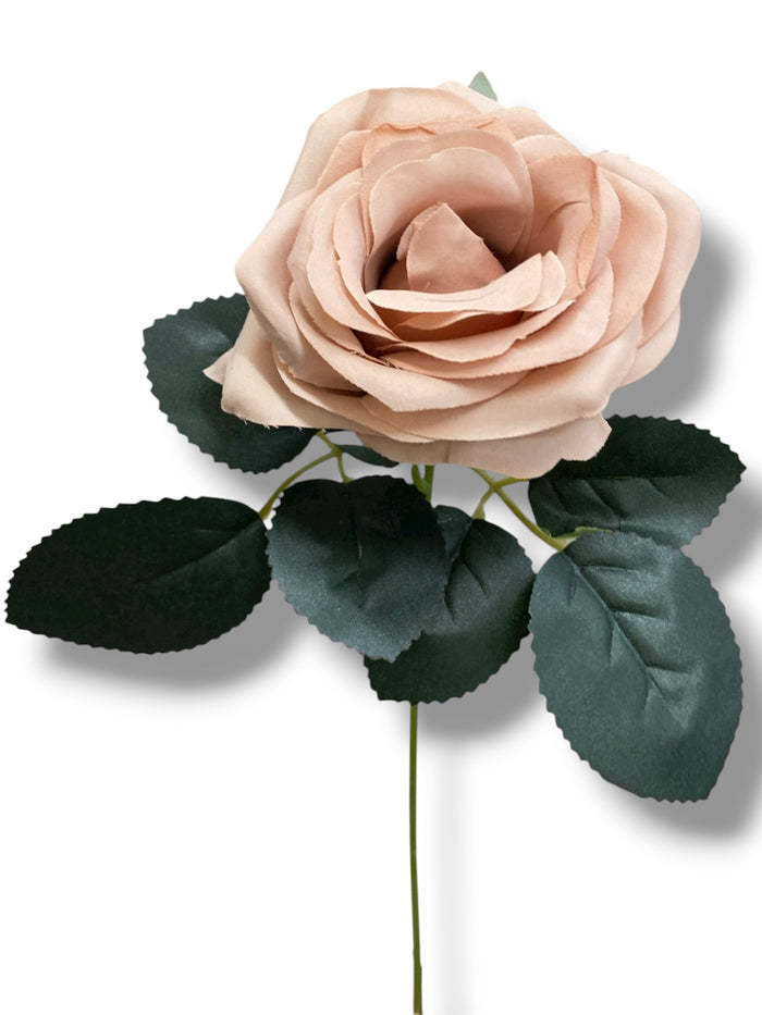 17.5'' Deluxe Rose Bush ( B1024N-#21 Champagne ) AN10004