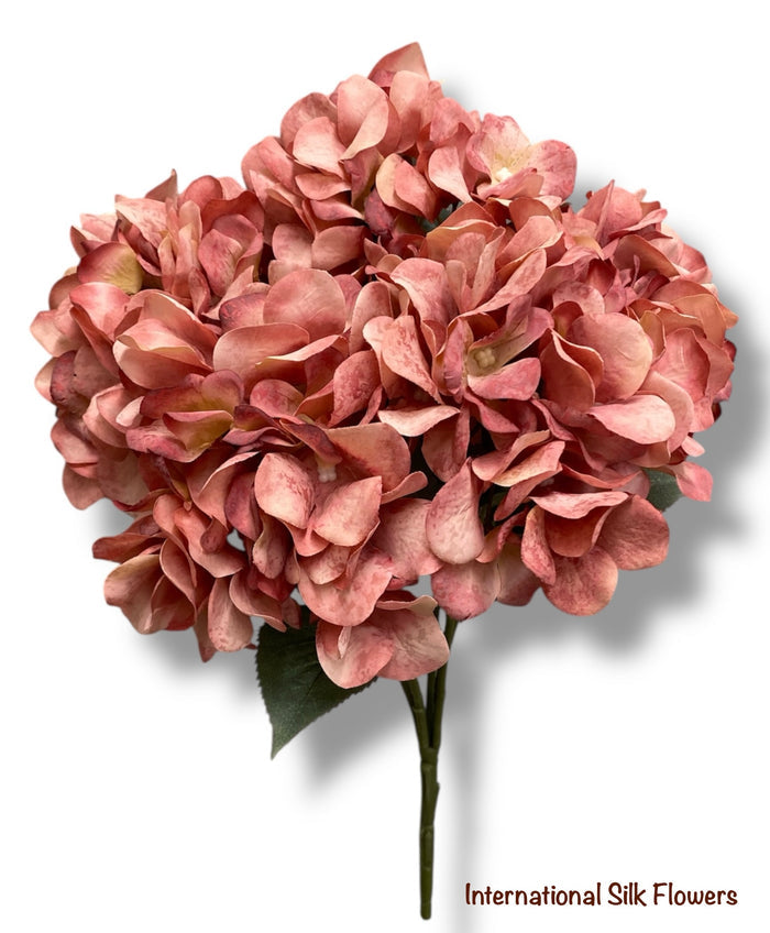 17.5' Hydrangea Bush ( TY3795-Rose )