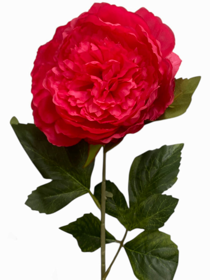 24.5'' Peony Bush ( INT1031-New Fuchsia )