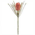 28" Banksia Spray ( FSB413-CO )