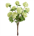 31" Snowball Bundle ( FBS303-Lime )