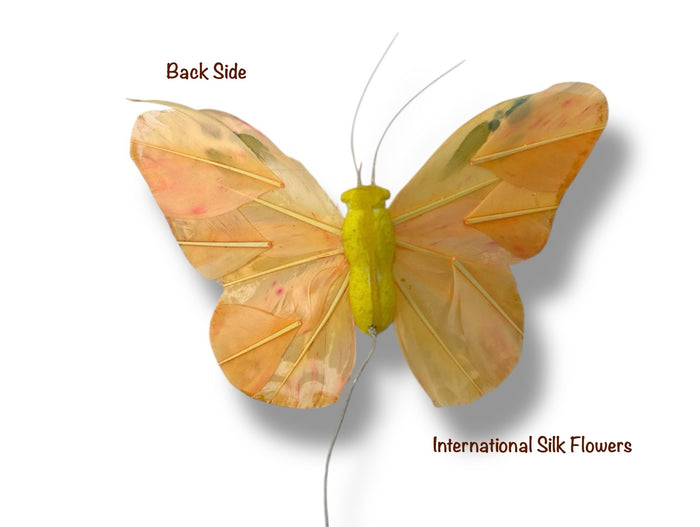 4'' Butterfly ( PRBF5174-Mix )