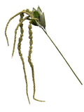 45" Amaranthus Spray ( GTA130-Green )