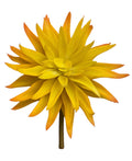 6'' Echeveria Pick ( SGS025-1087-Yellow )