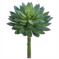 8" Echeveria Pick ( CE3235-GR/GY )