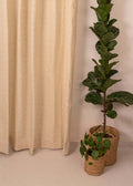 Antique Rose 100% cotton minimal curtain for living room - Light Reduction - Cream - Single Piece