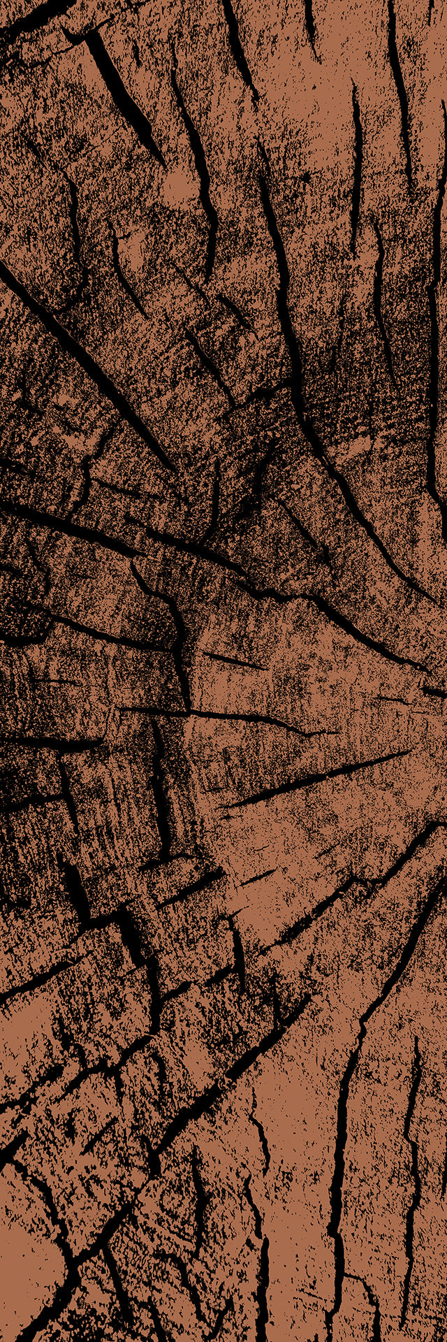 Burnished Wood