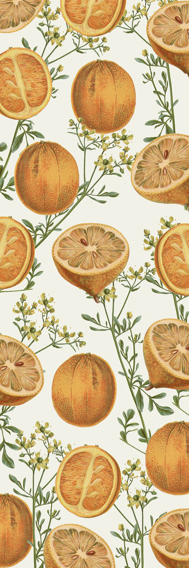 Citrus