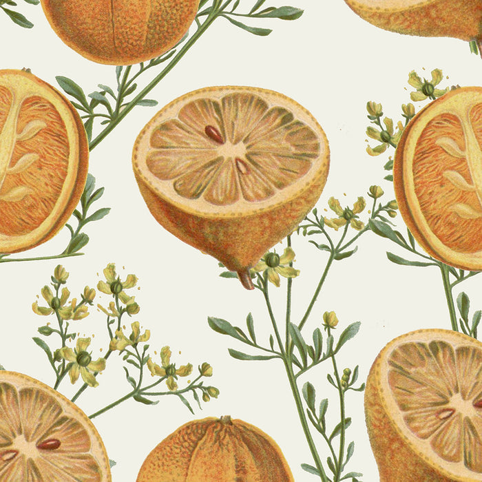Citrus