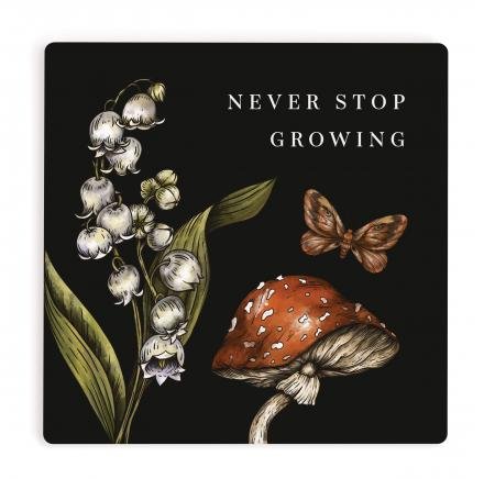 Coaster Never Stop Growing