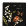 Coaster Never Stop Growing