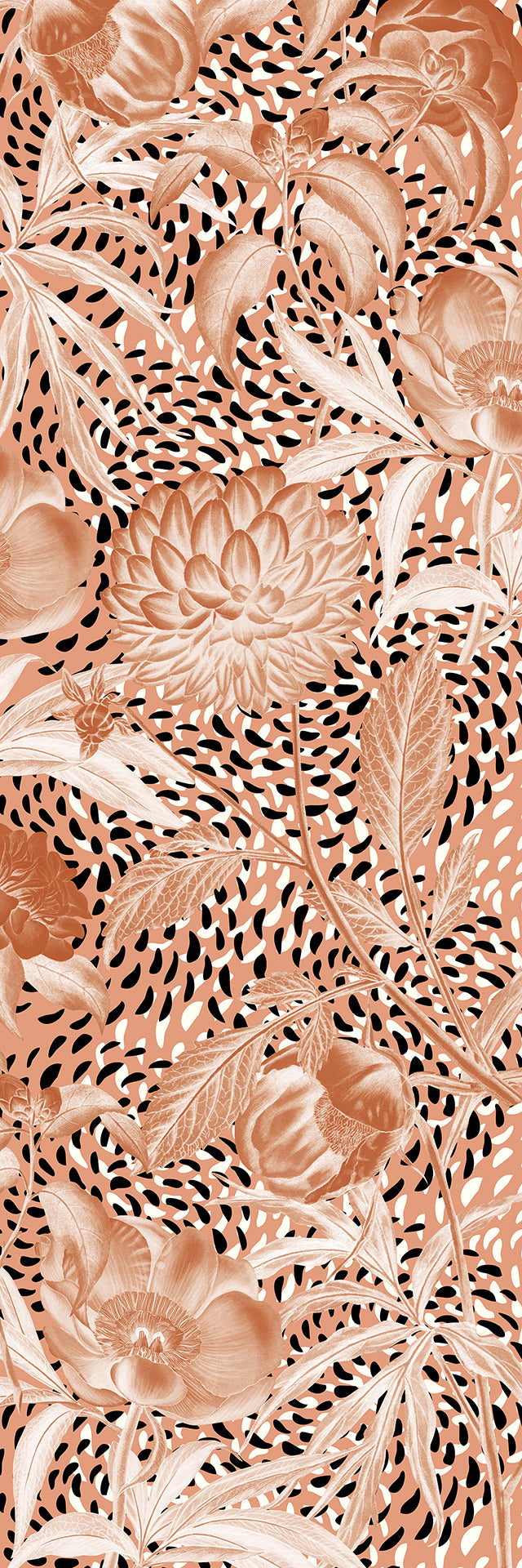 Dahlia Delight