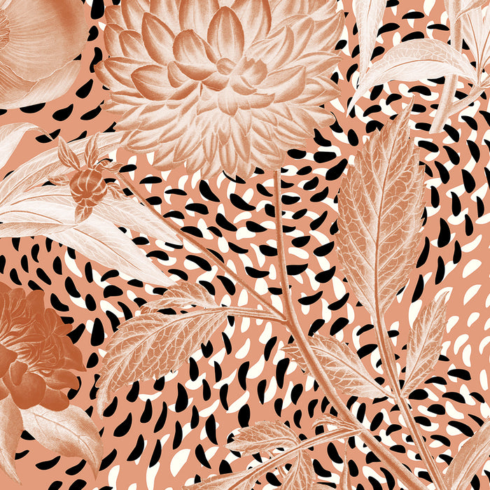Dahlia Delight