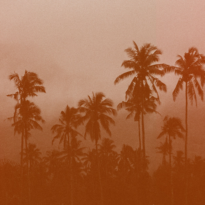 Dusk