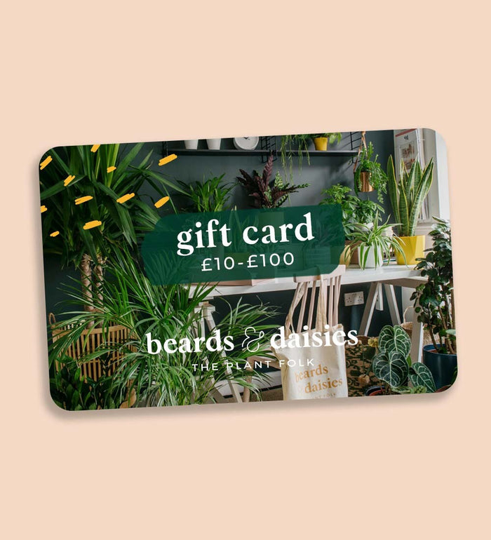 eGift Card