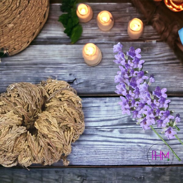 Flower De Jericho 🌙 - religious items