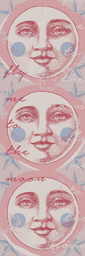 Fly Me to the Moon
