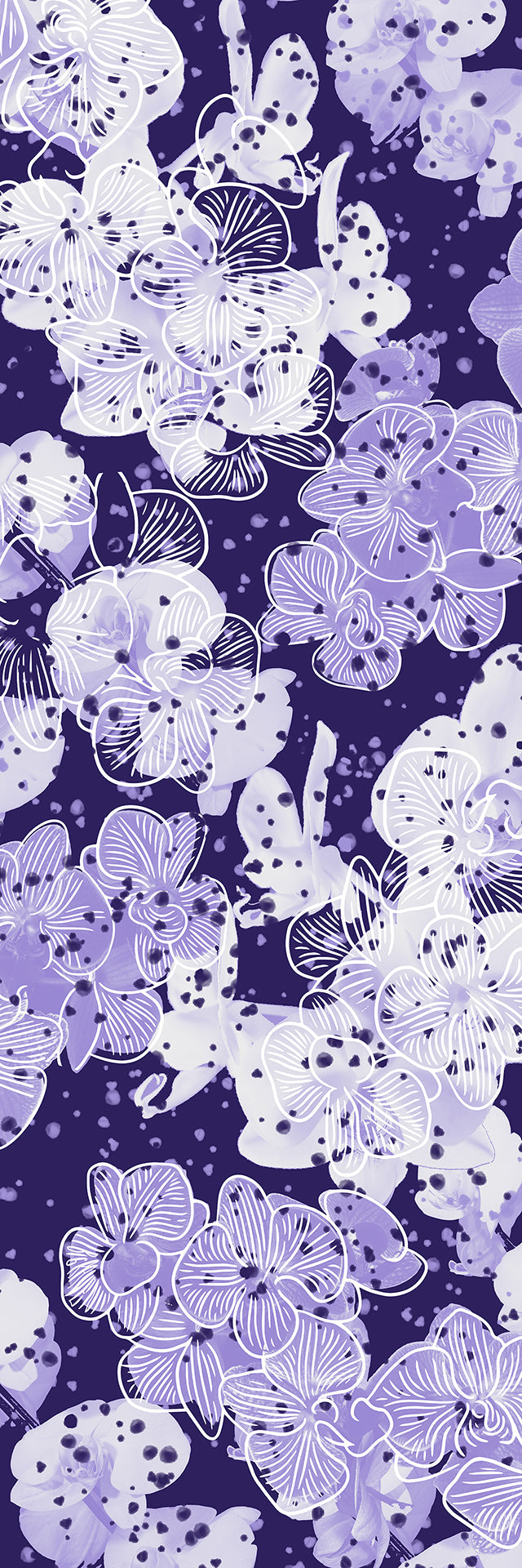 Orchid Splash