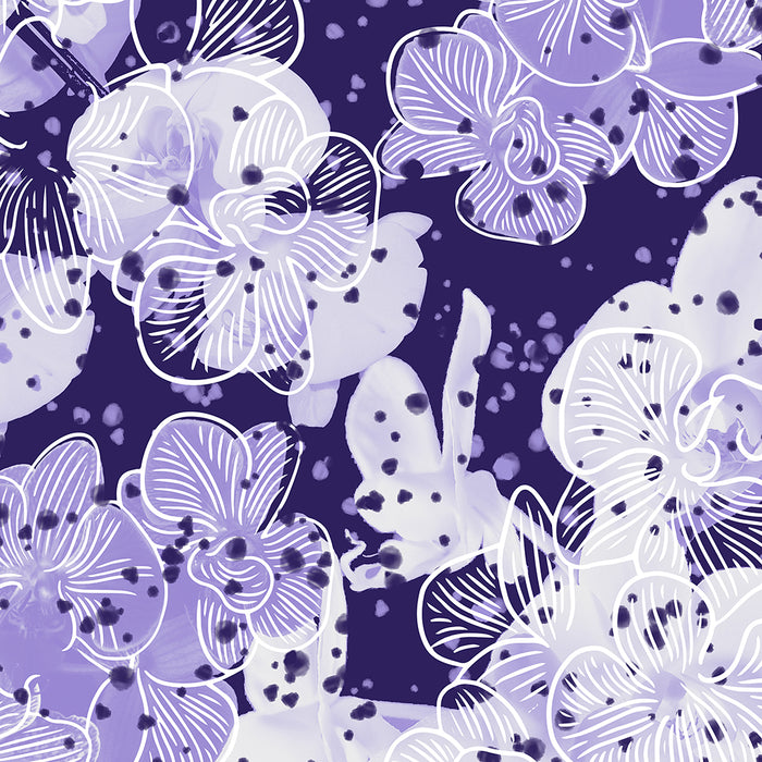 Orchid Splash
