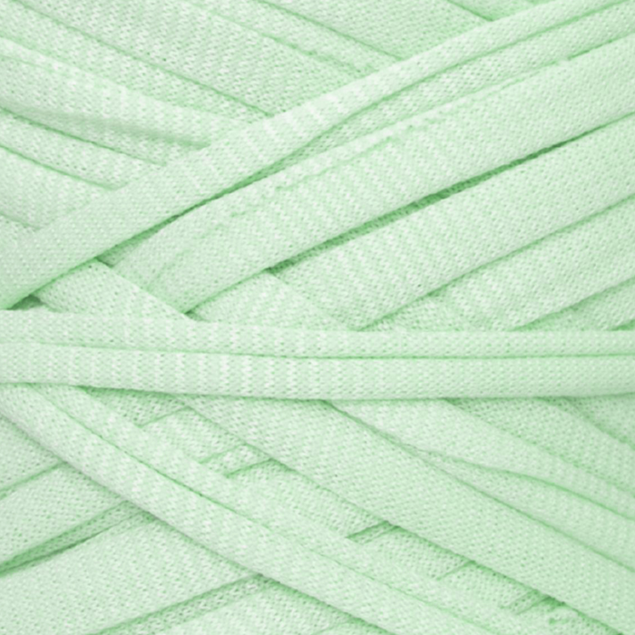 Poly T-Shirt Yarn Ice Green Color