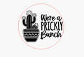 Prickly Bunch