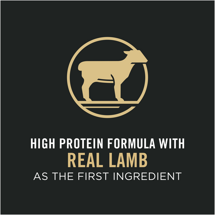 Purina Pro Plan Sensitive Skin & Stomach Lamb and Rice Dry Cat Food