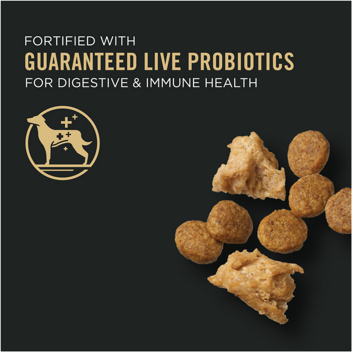 Purina Pro Plan Shredded Blend Weight Management Chicken and Rice Small Breed Dry Dog Food