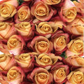 Rose Pebbles