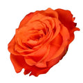 Rose Tabasco