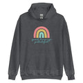 SLP Rainbow Classic Hoodie - Dark Heather / S - peachiespeechie.com