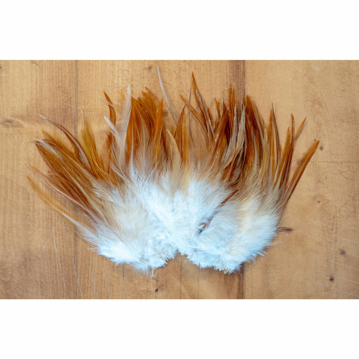 White underfeathers and golden-orange outer long rooster saddle feathers