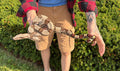 Sub-Adult Guyana Boa (Male 3)