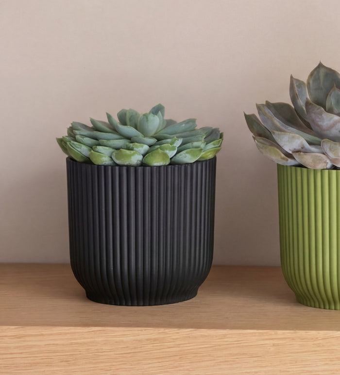 Succulent trio & Pots