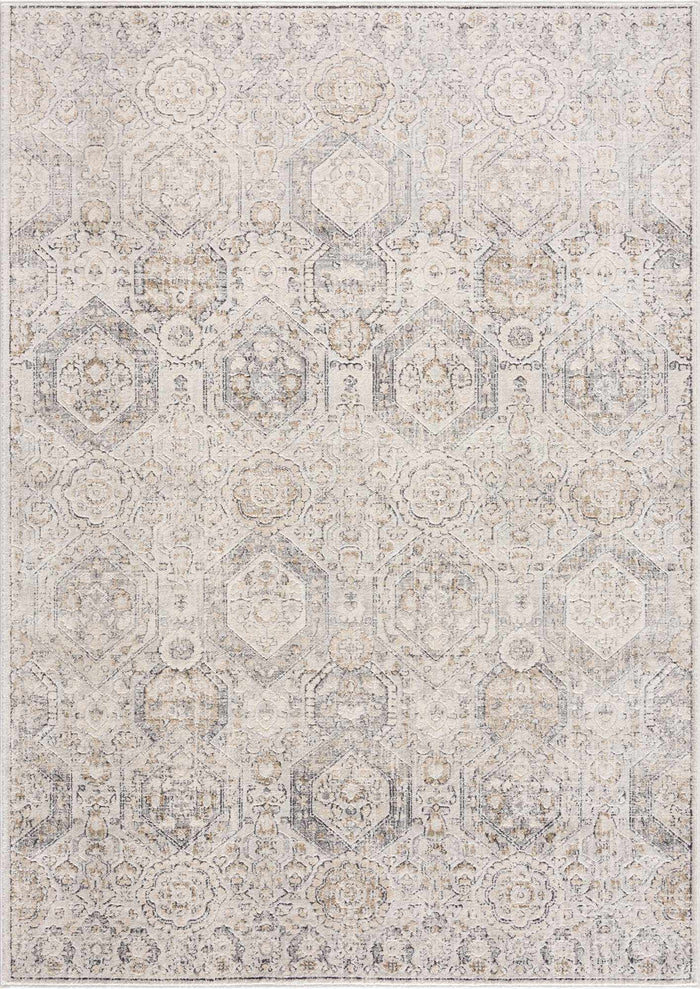Traditional Overall Design Beige and Brown Medium Pile Area Rug - The Rug Decor